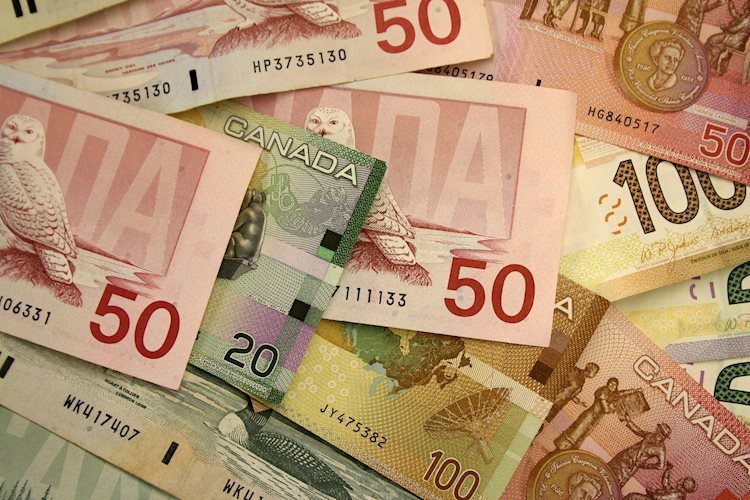 美元兌加元將下行看向1.25區域-加拿大豐業銀行