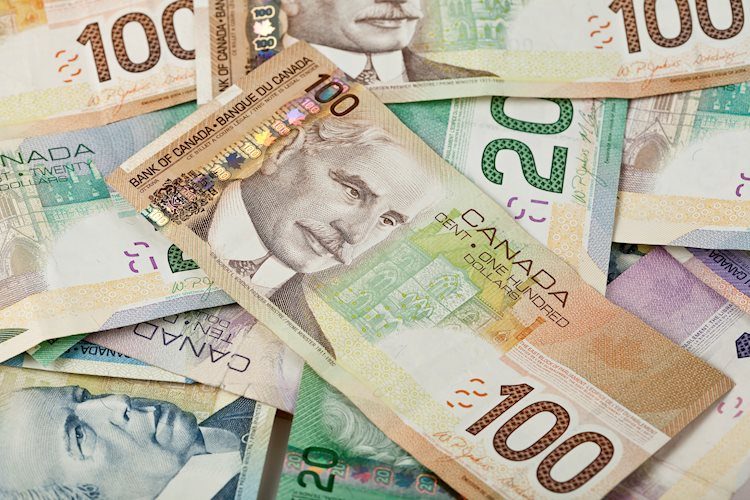 美元兌加元將進一步回升至1.2775/1.2875區域 - 加拿大豐業銀行