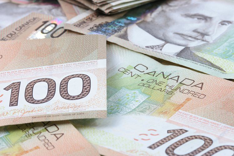強勁的加拿大就業報告將推動美元/加元跌破1.25 - 荷蘭國際集團
