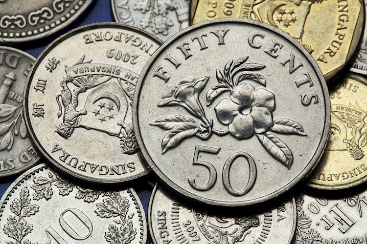 美元兌新加坡元：新加坡元在未來幾個月可能進一步升值 - 荷蘭國際集團