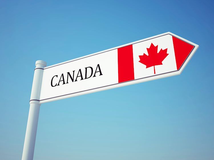 加拿大月度就業報告什麼時候公佈，它會如何影響美元/加元?