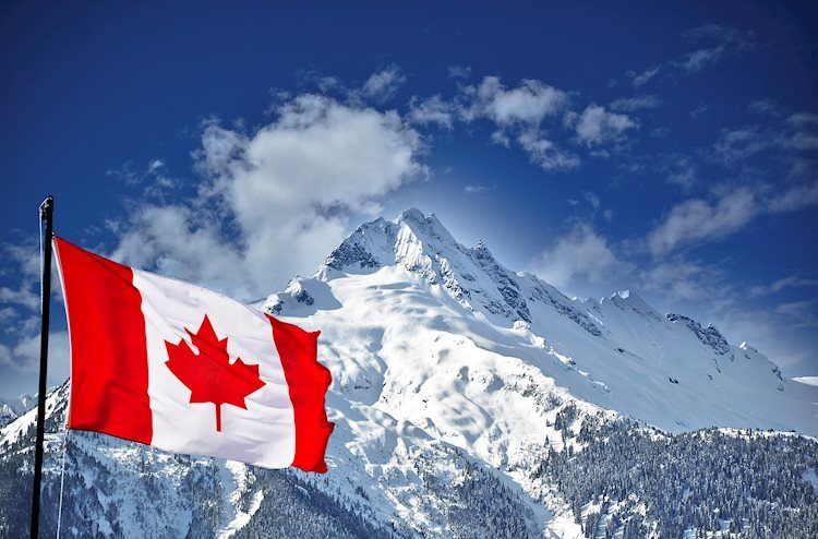 加拿大：2月國際商品貿易順差收窄至4.2億加元