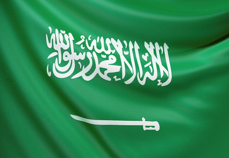 沙特阿拉伯能源部長：沙特王國將從7月起額外減產100萬桶/日
