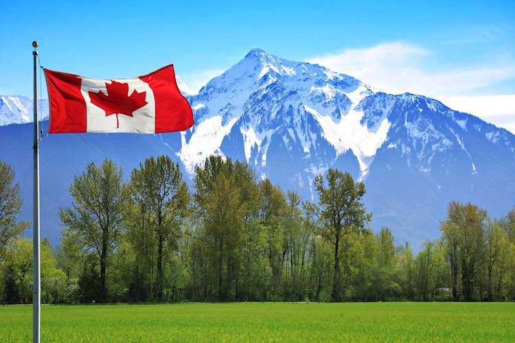 加拿大：第四季經濟年增 1.0%