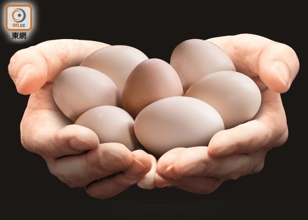 全球蛋價又升　日本累漲兩成　禽流感以外還有另一原因...
